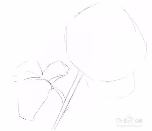 新手如何画一支玫瑰花