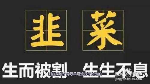 割韭菜是什么意思