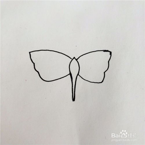 如何画出好看的蝴蝶？