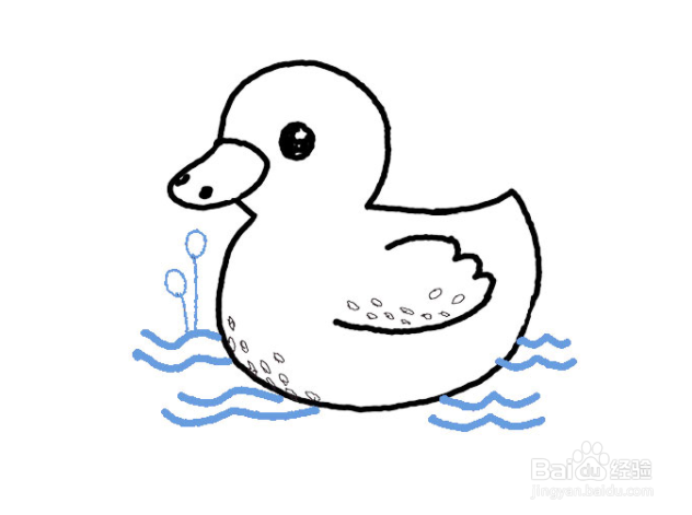 鸭子简笔画 游水水中图片