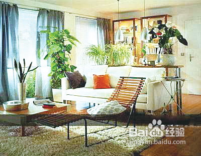 怎样布置出花园式客厅