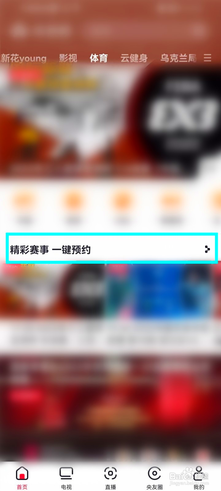温网男单决赛直播到哪看