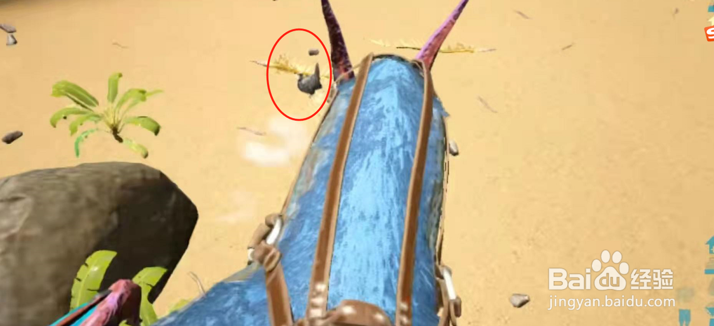 方舟感恩节火鸡怎么杀