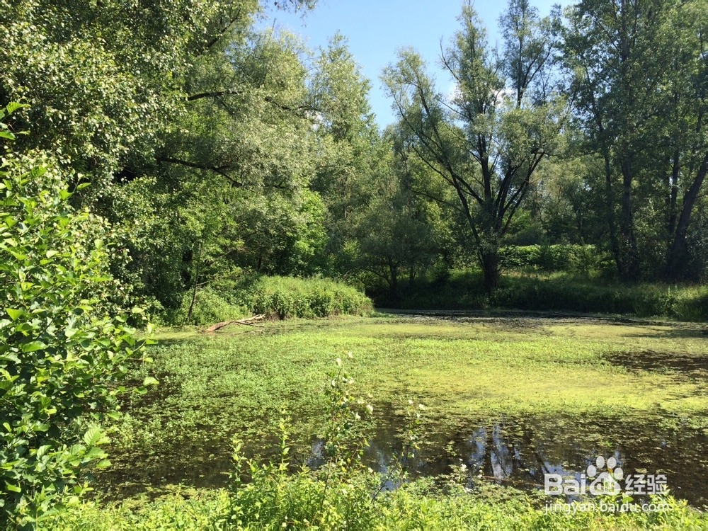 法国旅游交通工具选择