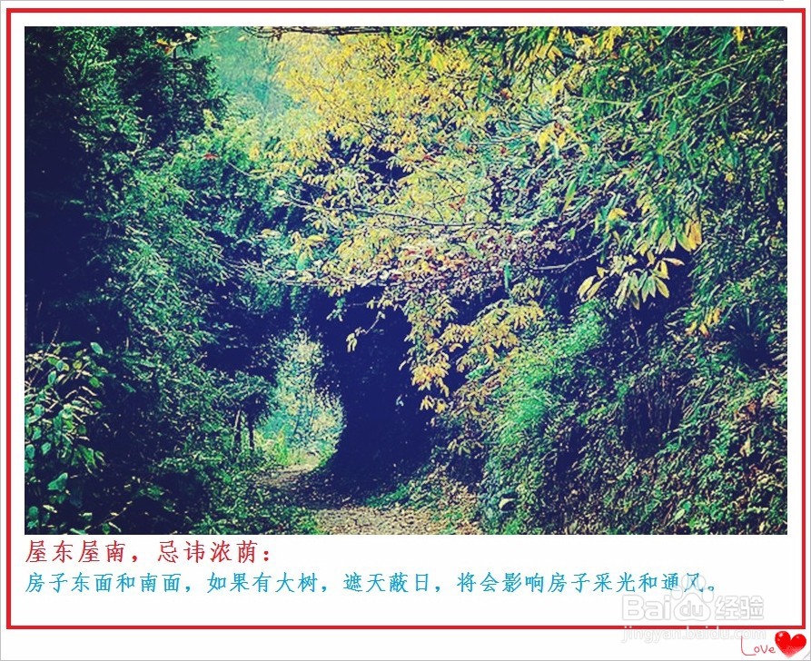 如何选房子[购房要注意哪些事项]