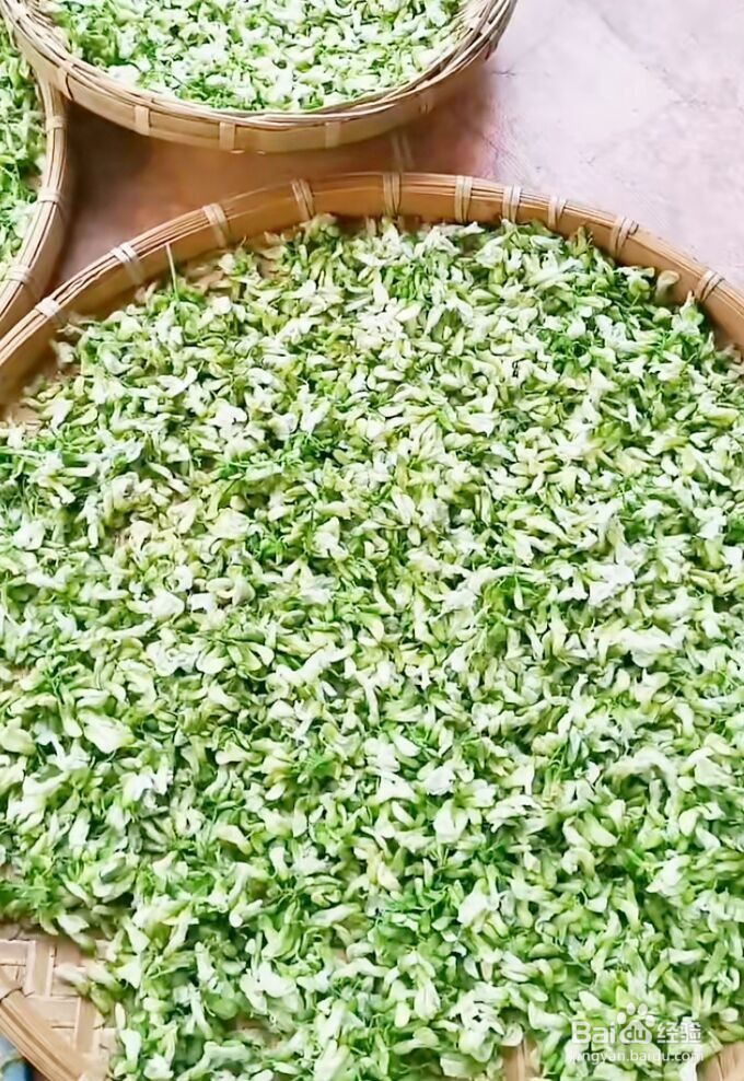 槐花的保存方法