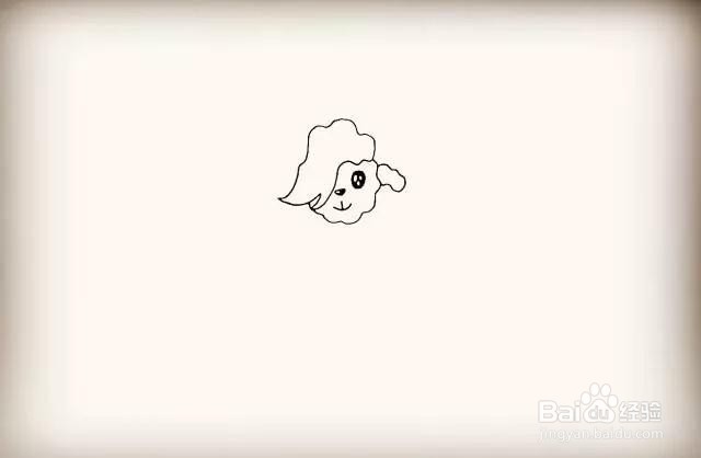 动物系列-羊驼简笔画怎么画？