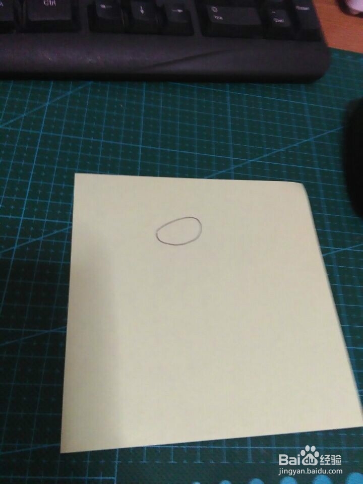 简笔画---袋鼠