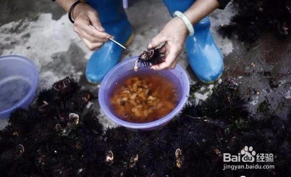 亲海湾舍：这可能是双月湾逼格最高的海景民宿