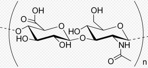 吃糖太多的危害 及吃糖与肥胖糖尿病的关系