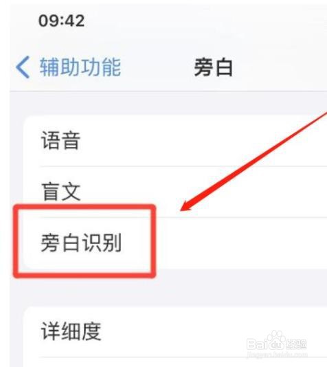 iphone手机旁白怎么开启文本识别?