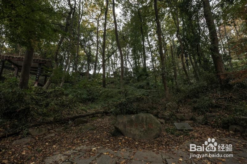 诗画浙江畅游杭州攻略7