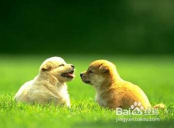 性格内向的人怎样交朋友?