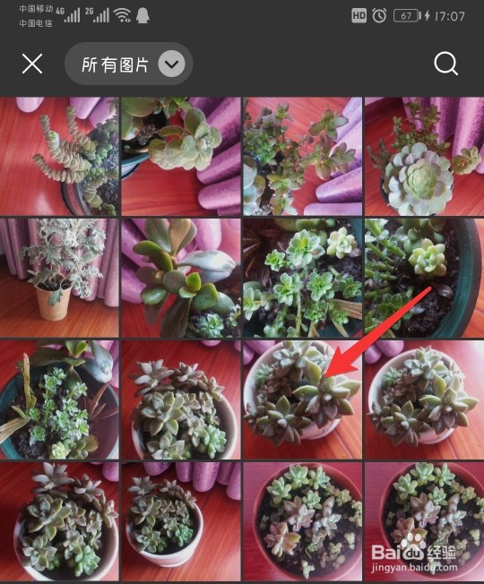 微信如何更换头像