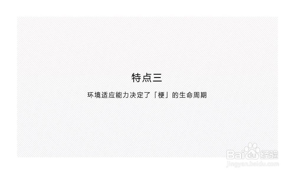 什么是“梗”浅谈“梗”的传播特点和广告意义