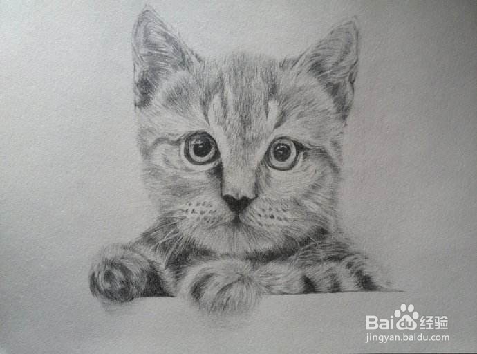 绘画初学者常犯的错误有哪些