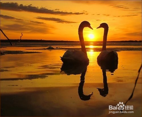 论《龙族》——爱情的抉择！