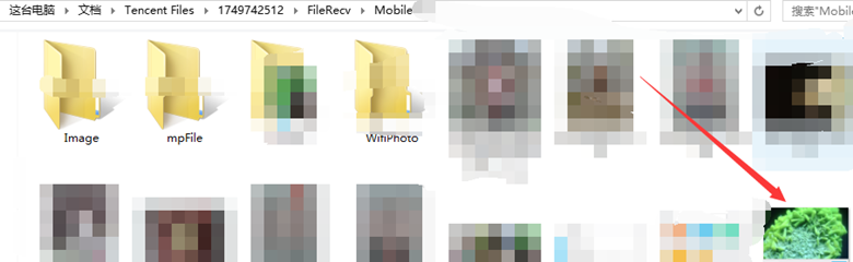 如何上传身份证进行实名认证