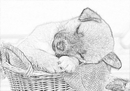 快速利用ps将图片变成素描