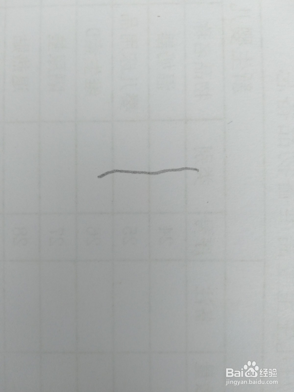 简笔画柿子画法九