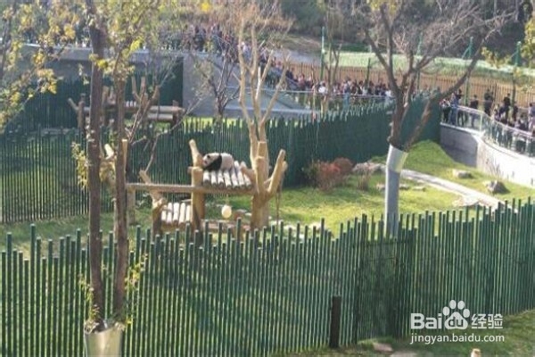 沈阳最好玩的地方推荐