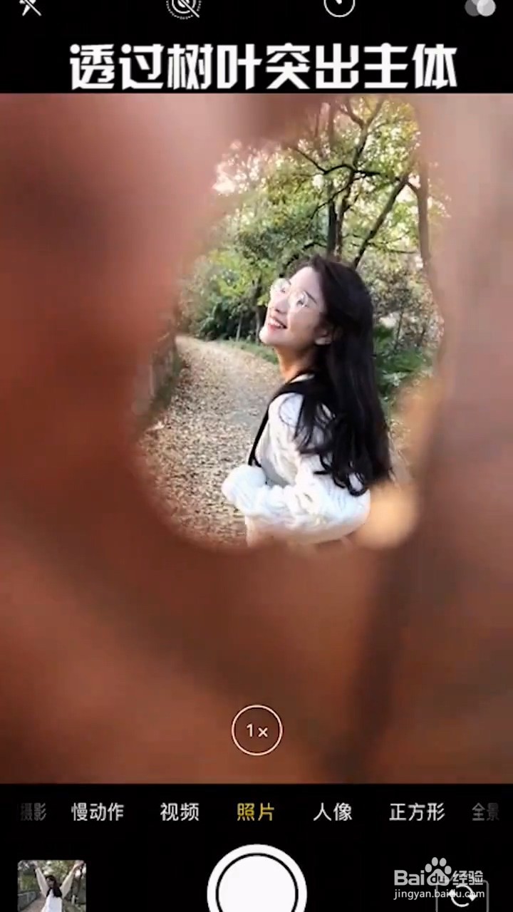 秋天落叶拍照技巧