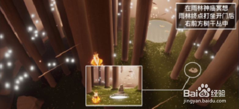 光遇1.19每日任务攻略2022