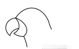 伴儿成长简笔画系列-怎样画美丽鹦鹉简笔画