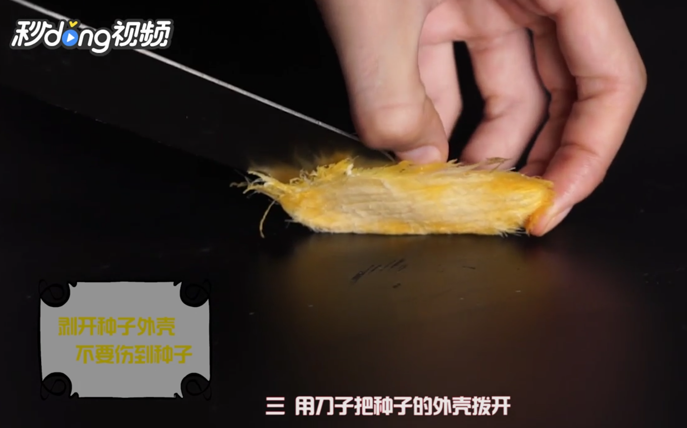 如何栽种芒果种子小盆栽