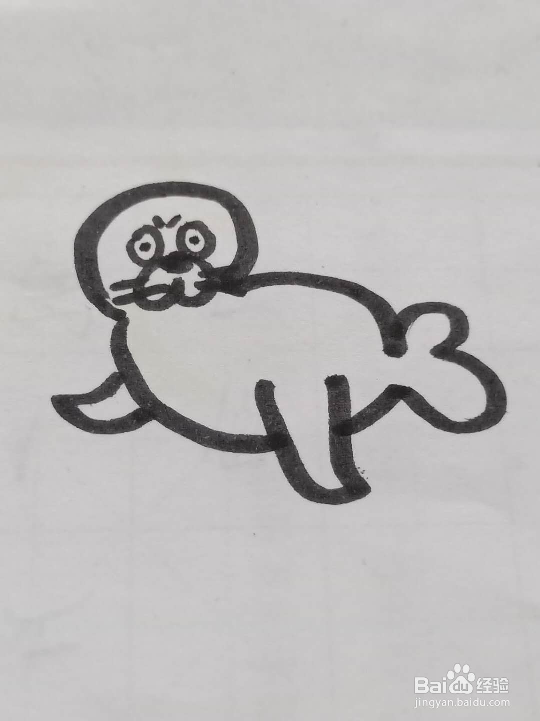 怎样画海豹
