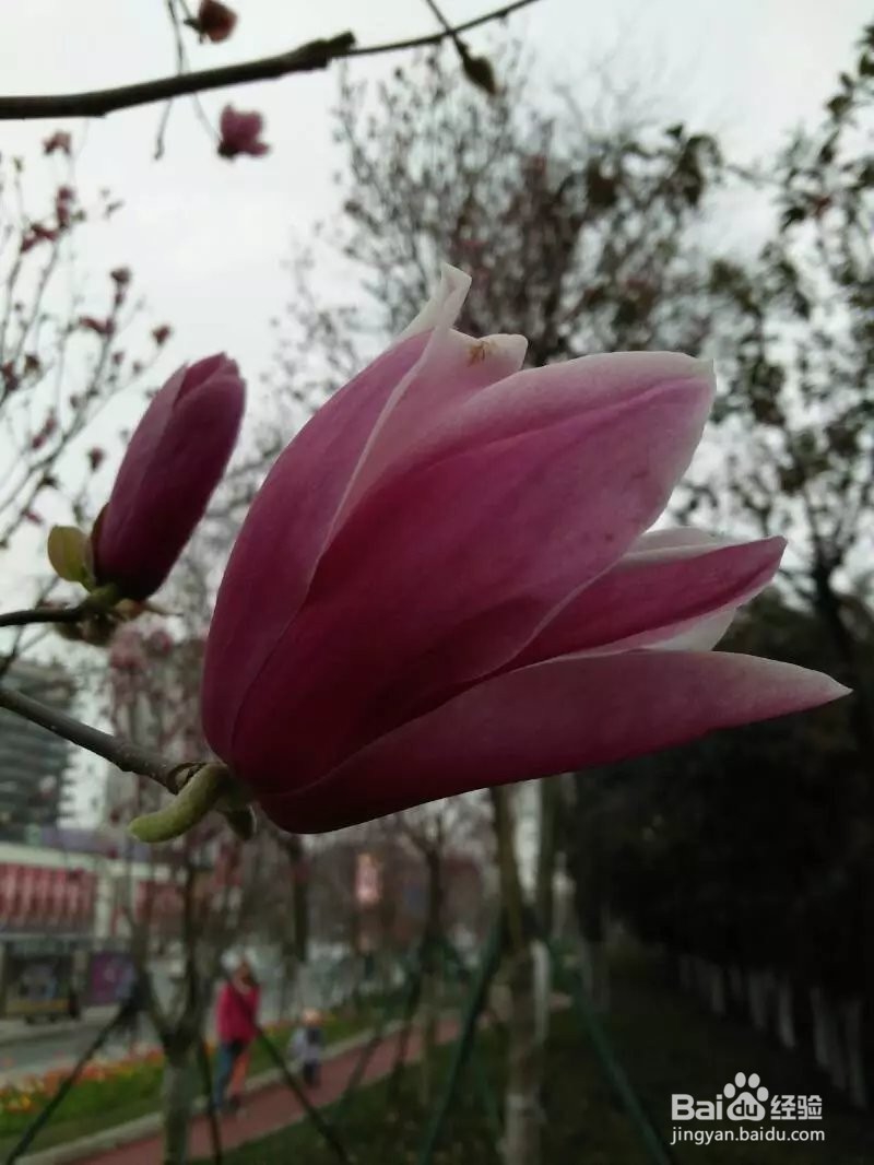 教你自制简易香水-致独一无二的你