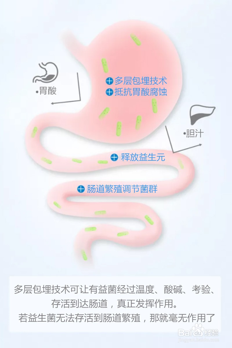 益生菌选择的标准是什么？