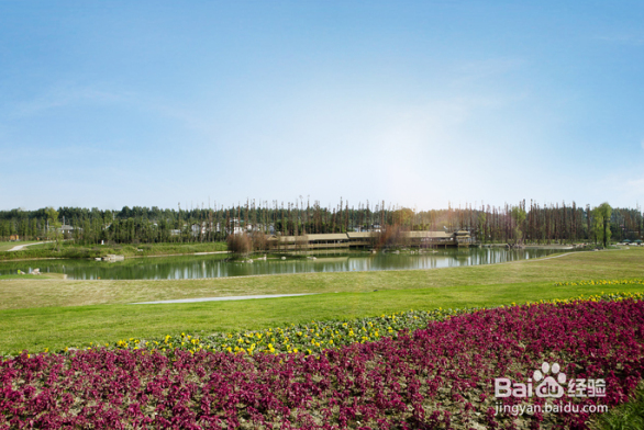 成都企业年会最佳举办地-去这些地方玩