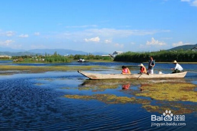 关于云南大理旅游攻略的几点建议