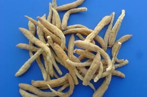 最常用一则肝内胆管结石的偏方