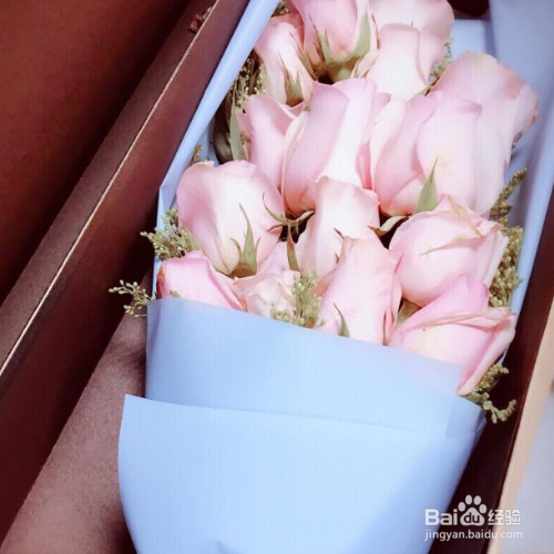 玫瑰花的传播方法