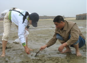 海边沙蟹怎么捉