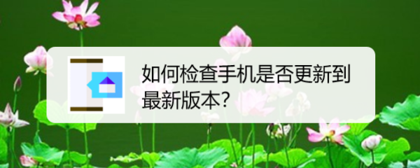 如何检查手机是否更新到最新版本