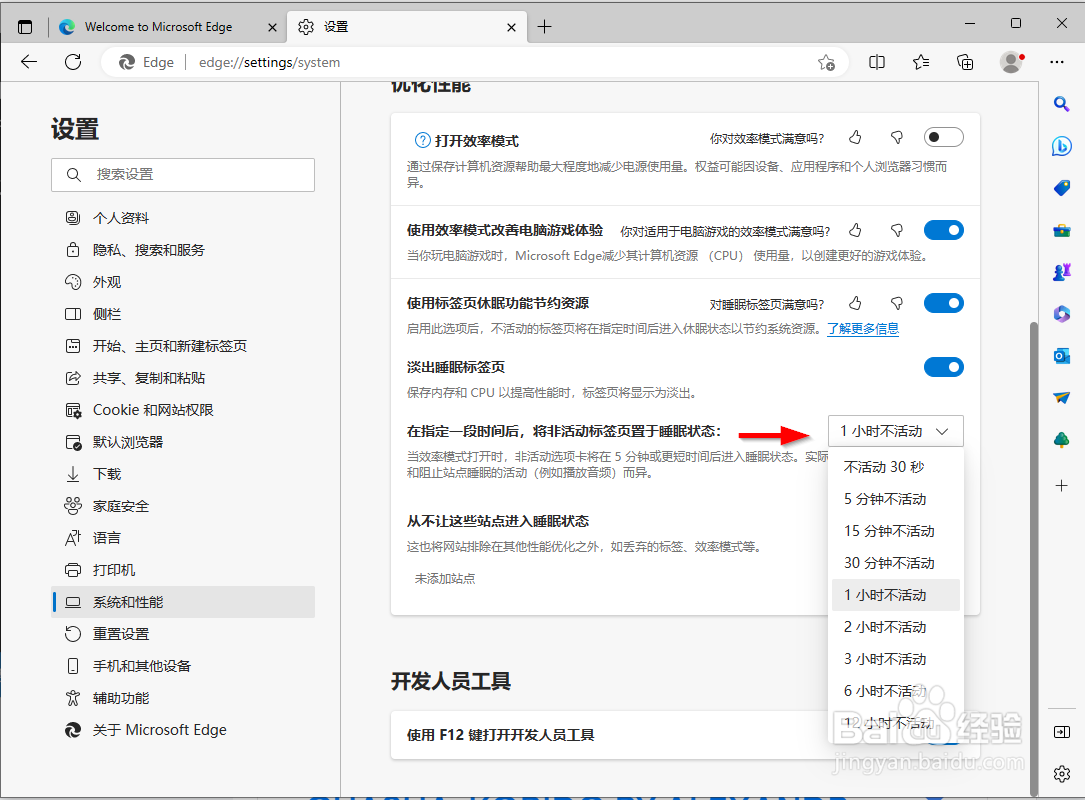 如何启用Microsoft Edge的睡眠标签功能