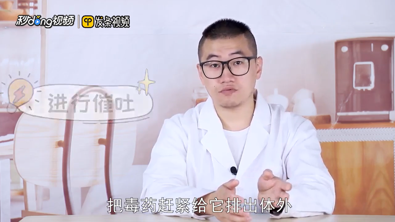 猫吃了老鼠药怎么解救