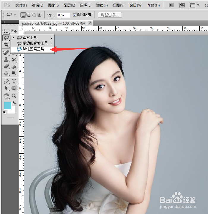 怎么用Photoshop的磁性套索工具完美抠图