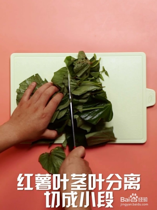 清炒红薯叶方法步骤