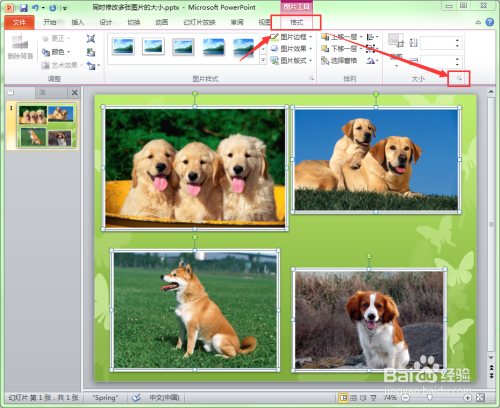 ppt中如何将多张图片修改成相同的大小