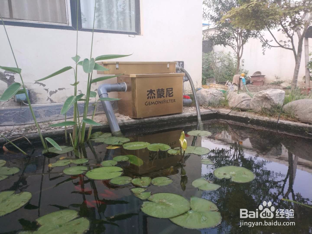 为你的爱鱼,搭配专属鱼池过滤器