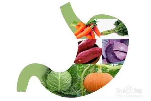 慢性胃炎吃什么食物好