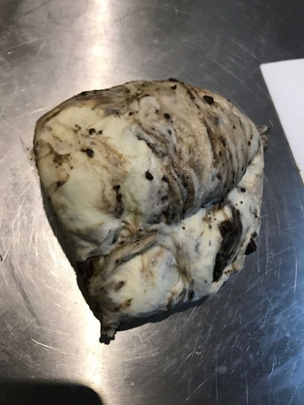 奥利奥巧克力贝果