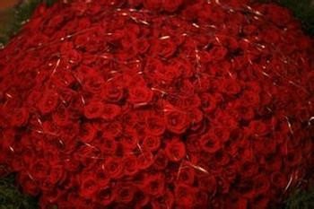 如何哄自己女朋友开心?