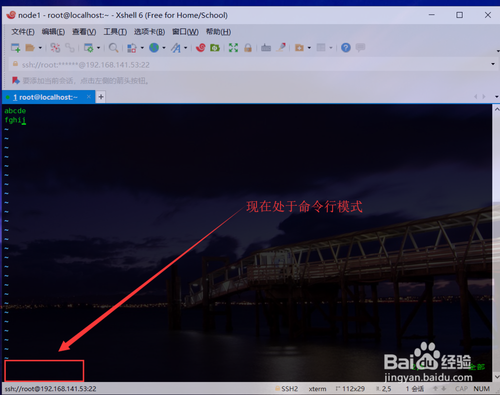 Vim编辑器基本操作详解