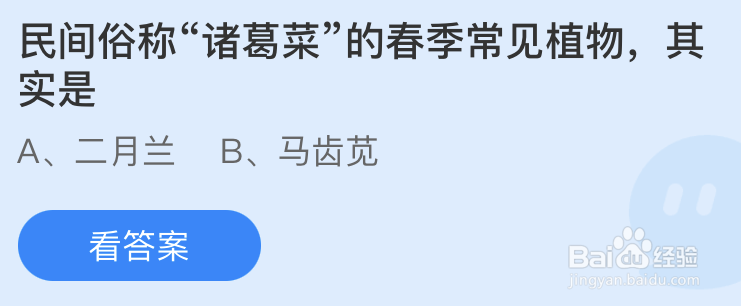 蚂蚁庄园民间俗称诸葛菜的春季常见植物其实是