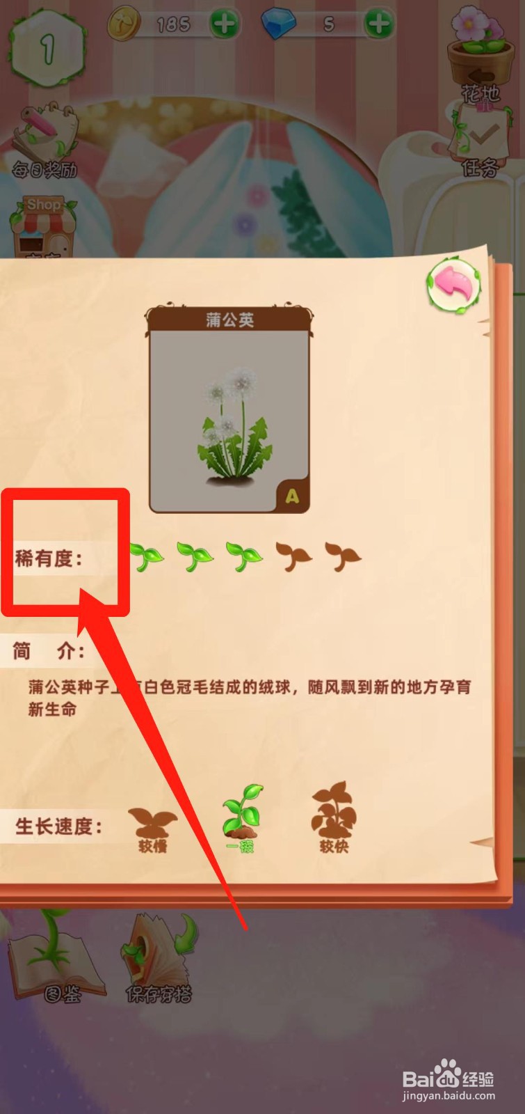 花花姑娘之魔法花园如何查看蒲公英稀有度